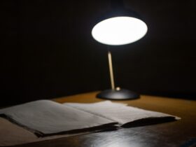 L’investigatore privato autorizzato e il segreto professionale