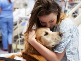 Scopri cosa si intende per interventi assistiti con animali