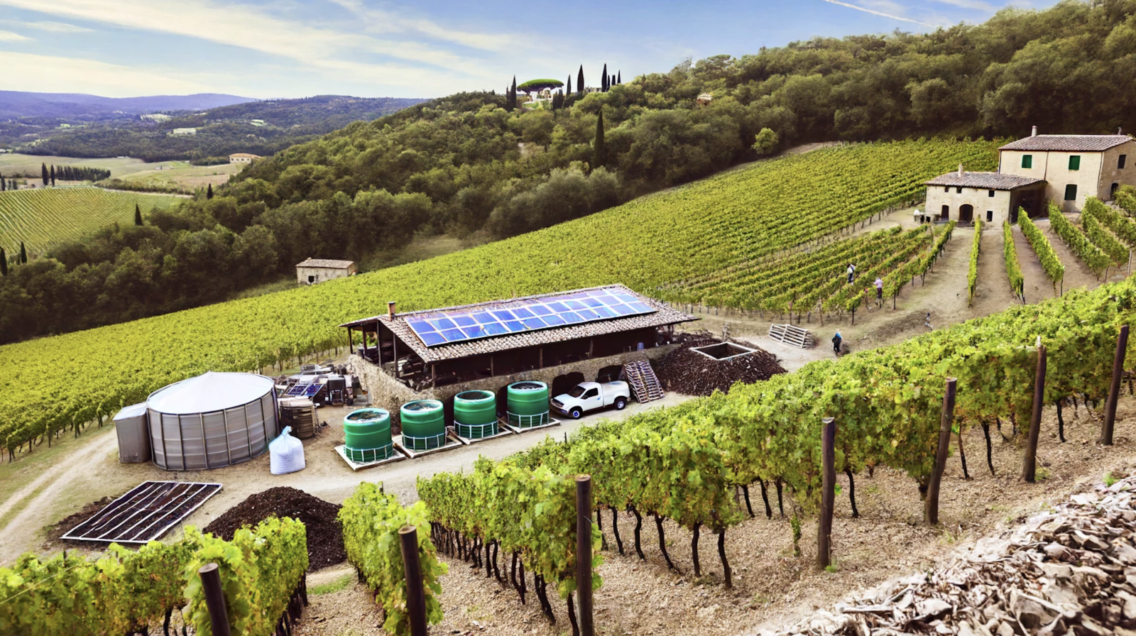 Sostenibilità nella Viticoltura Toscana Pratiche e Innovazioni